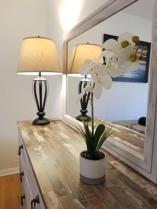 Luxury And Spacious 5 Bedroom Private House By Melrose Wifi Tv Backyard Free Parking Close To The Grove Hollywood Walk Of Fame Casa vacanze Los Angeles